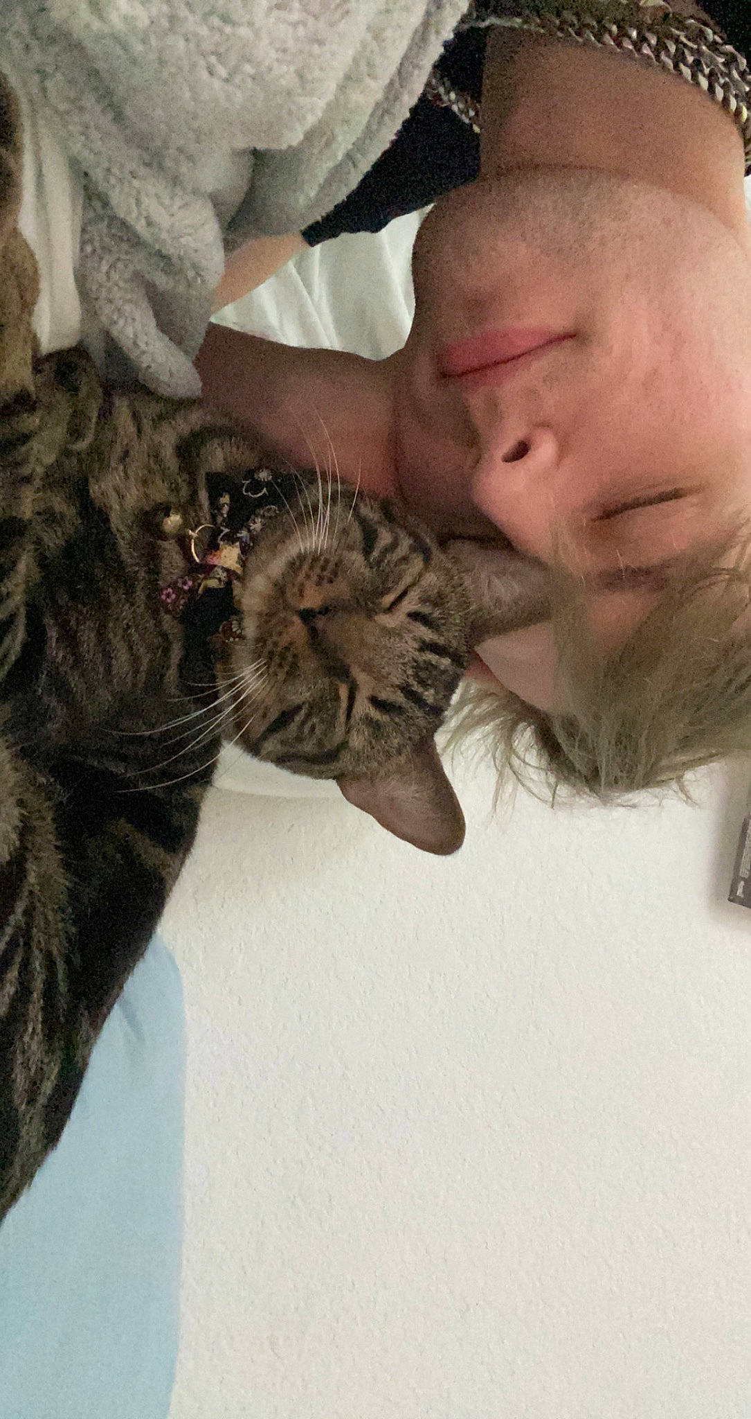 Otto is registered to the contest to win money with this photo: beard, carnivore, comfort, companion_dog, dog_breed, ear, eyelash, facial_hair, fawn, felidae, fur, gesture, jaw, liver, moustache, skin, small_to_medium_sized_cats, snout, whiskers, wildlife_biologist