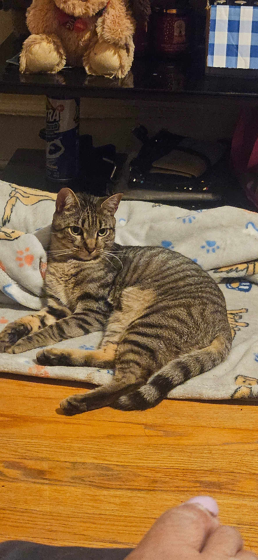 K.b.