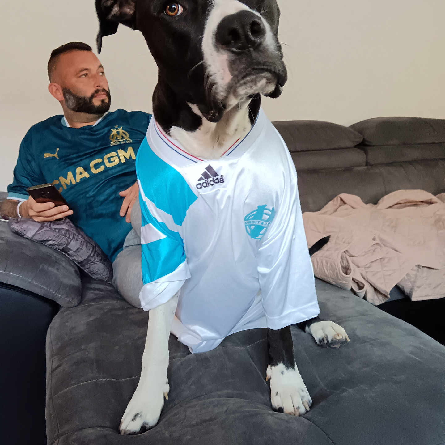 Tyson a rejoint le concours — aidez-le/la à gagner de superbes lots ! adult, animal, architecture, art, building, canine, clothing, couch, electronics, furniture, indoors, livingroom, male, man, mobilephone, painting, person, phone, room, t_shirt
