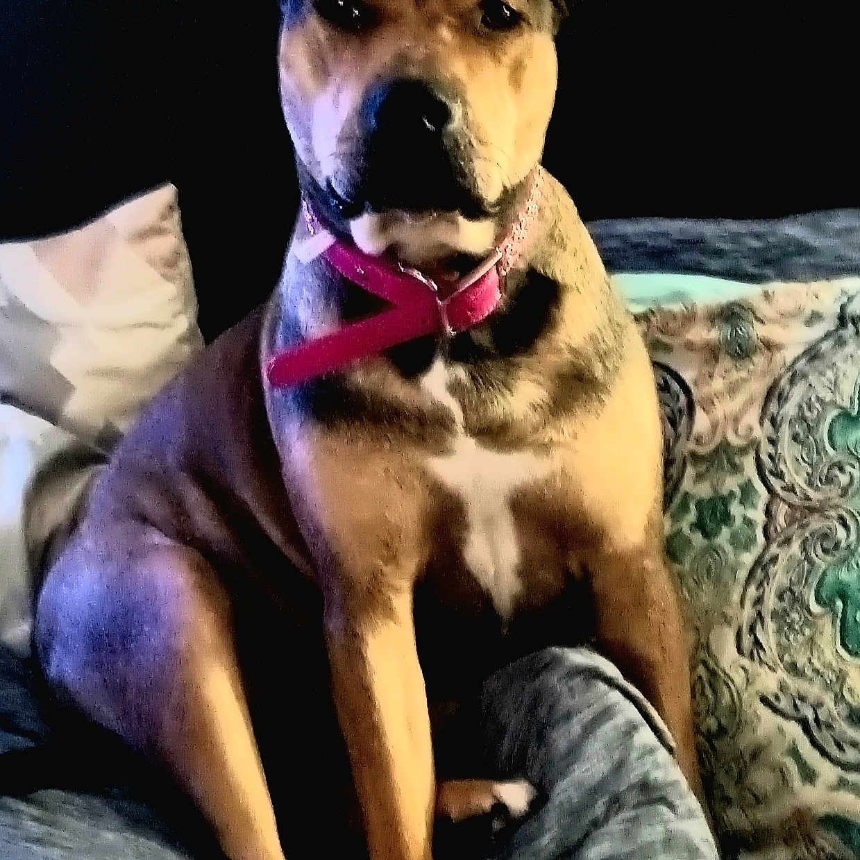 Sadie