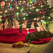 Luna joined the competition — help win amazing prizes! cat, tabby_cat, christmas_tree, christmas_lights, holiday_decor, red_tree_skirt, plush_toy, lizard_toy, carpet, indoor, festive, decorations, ornaments, relaxed, pet, animal, cozy, lighting, home, floor