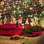 cat, tabby_cat, christmas_tree, christmas_lights, holiday_decor, red_tree_skirt, plush_toy, lizard_toy, carpet, indoor, festive, decorations, ornaments, relaxed, pet, animal, cozy, lighting, home, floor
