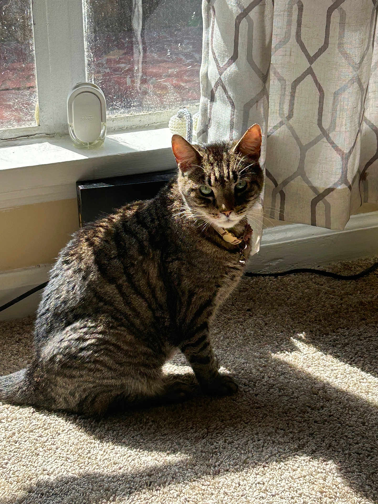 Luna