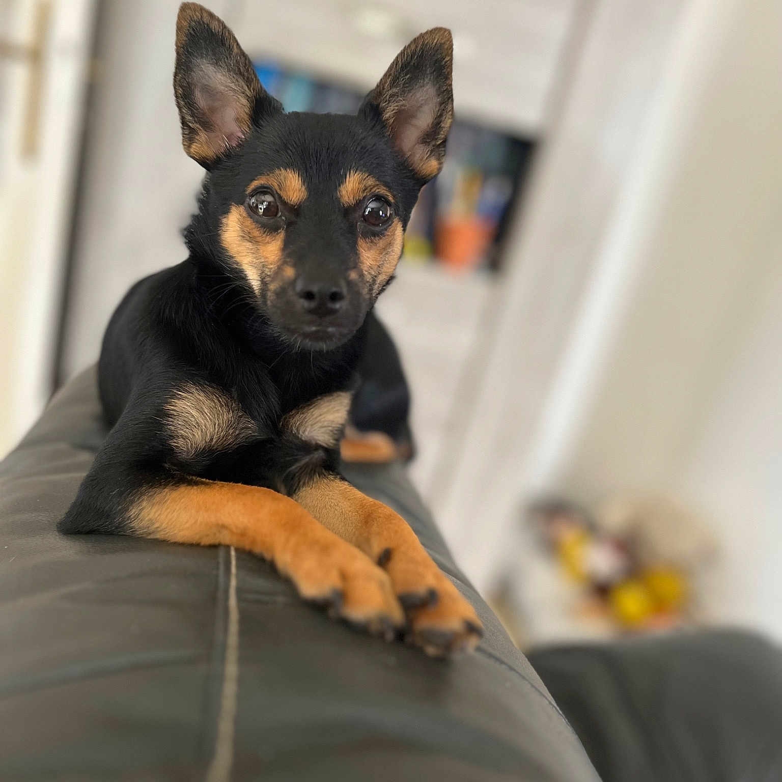 Louna