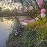 animal, balloons, banner, birthday, celebration, costume, dirt_path, dog, festive, grass, leash, nature, outdoor, party, pink, river, sunset, trees, water, white