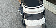 Olivia is registered to the contest to win money with this photo: cat, pet_stroller, mesh_cover, person, green_shorts, black_shoes, pavement, sidewalk, bushes, curb, outdoor, daylight, walking, pet, animal, transport, black_cat, casual_clothing, footwear, nature