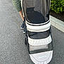 cat, pet_stroller, mesh_cover, person, green_shorts, black_shoes, pavement, sidewalk, bushes, curb, outdoor, daylight, walking, pet, animal, transport, black_cat, casual_clothing, footwear, nature