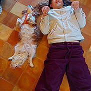 Scarlett a rejoint le concours — aidez-le/la à gagner de superbes lots ! brown_tones, calm, casual_clothing, colorful_blanket, companion, dog, dog_harness, floor, fluffy_dog, indoor, long_hair, lying_down, orange_tones, person, pet, purple_pants, relaxation, resting, tile_floor, white_jacket