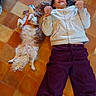 brown_tones, calm, casual_clothing, colorful_blanket, companion, dog, dog_harness, floor, fluffy_dog, indoor, long_hair, lying_down, orange_tones, person, pet, purple_pants, relaxation, resting, tile_floor, white_jacket