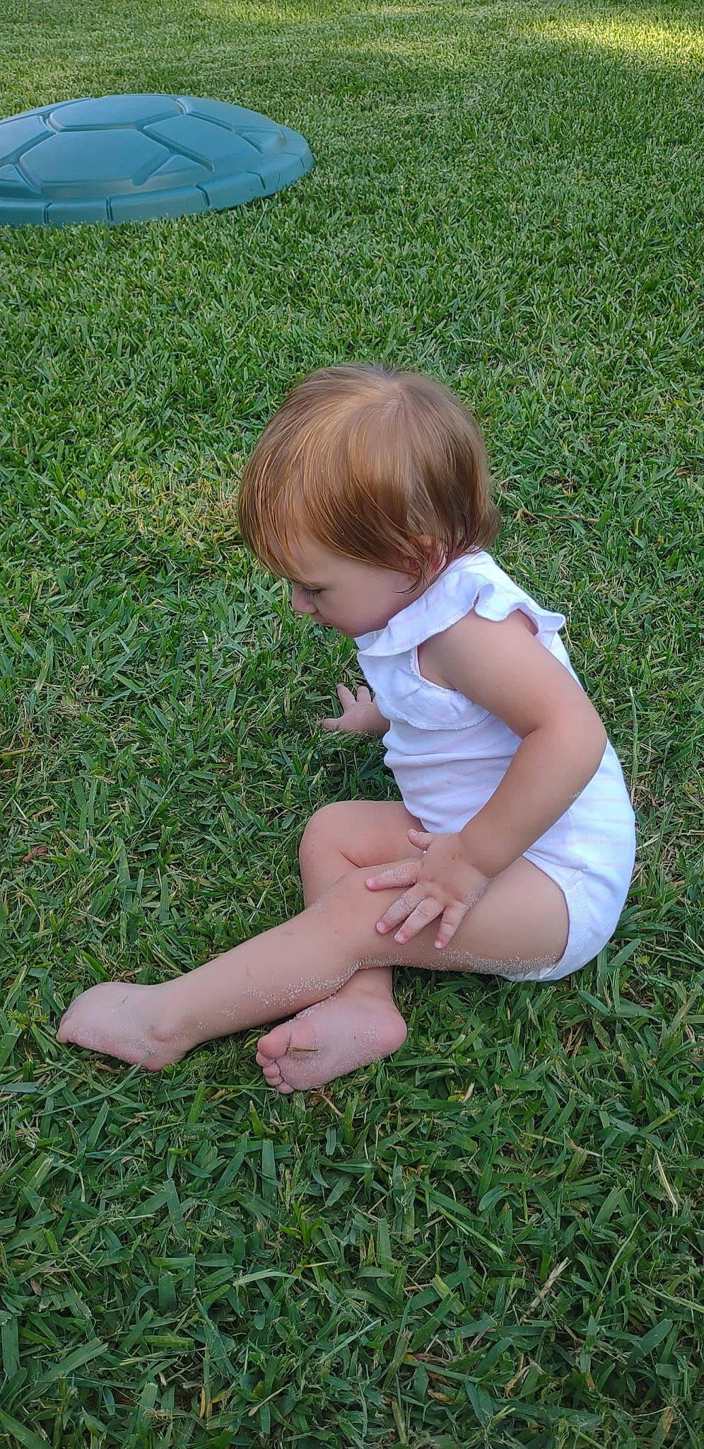 Daisy joined the competition — help win amazing prizes! baby, baby_toddler_clothing, blond, child, finger, foot, grass, grass_family, grassland, groundcover, hair, hairstyle, human_body, lawn, meadow, pattern, people_in_nature, person, plant, sitting