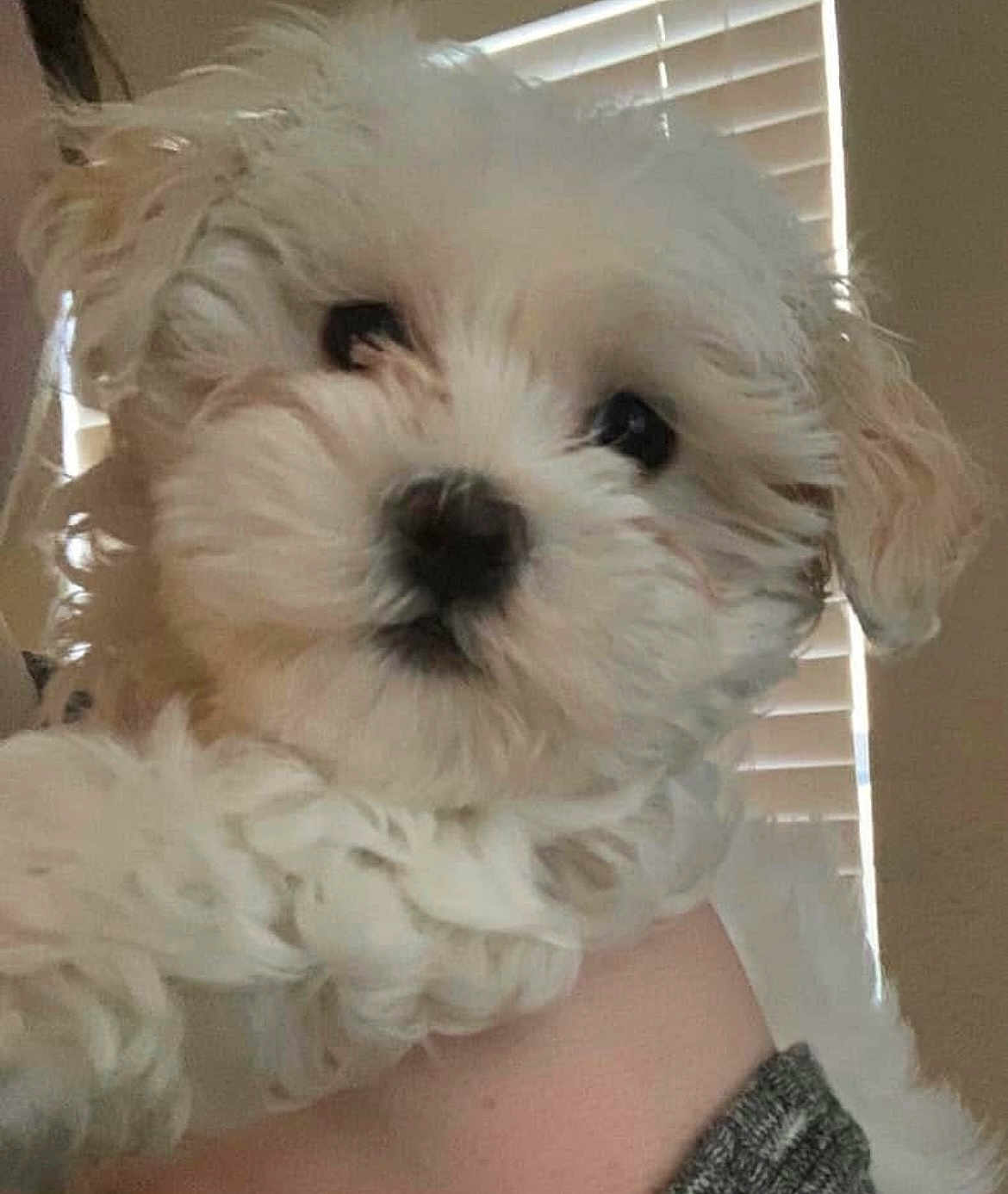 Ellie Mae