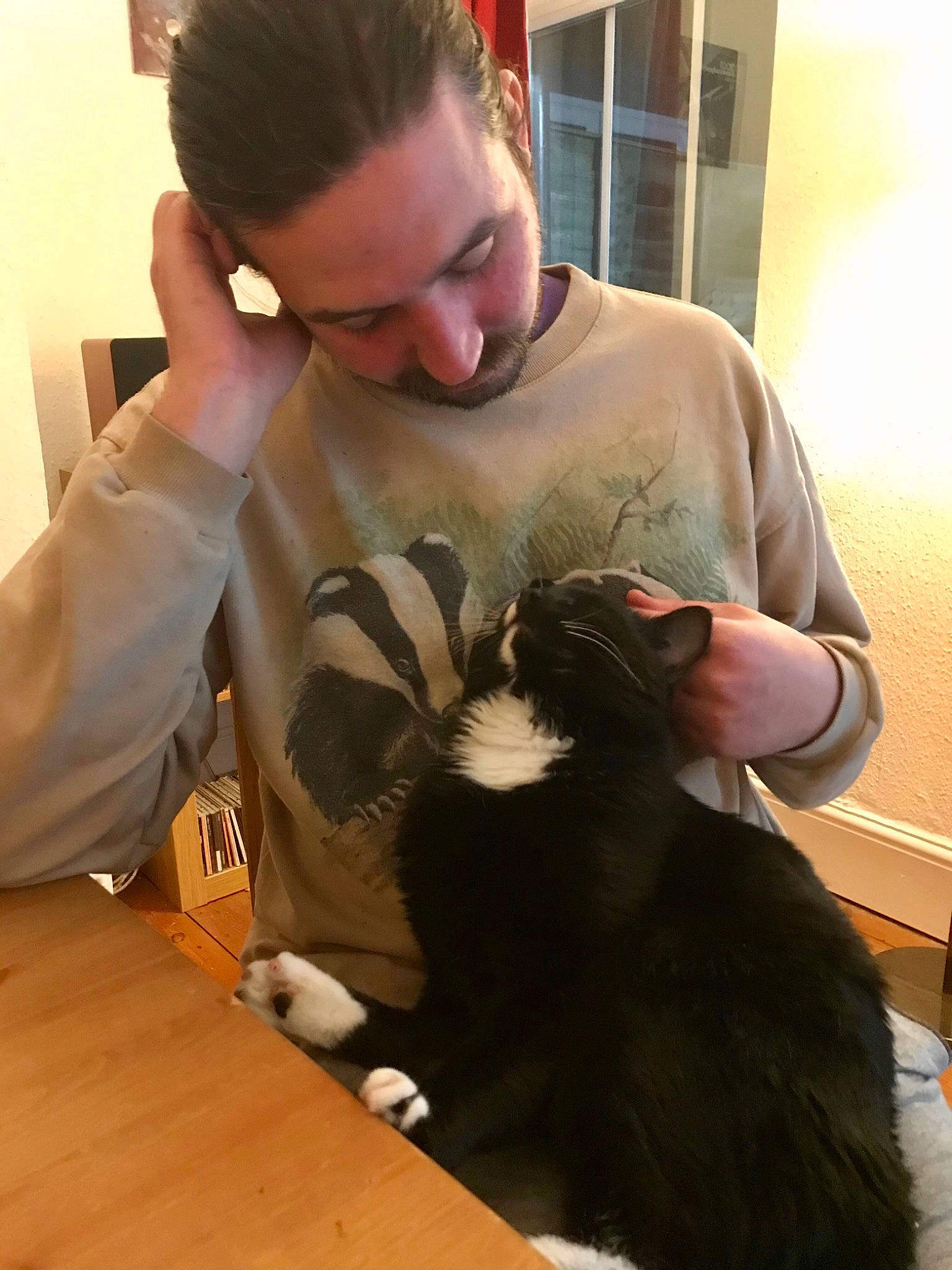 Jiji joined the competition — help win amazing prizes! arm, canidae, carnivore, cat, comfort, companion_dog, dog_breed, ear, felidae, fur, gesture, hair, natural_material, neck, small_to_medium_sized_cats, sporting_group, table, whiskers, wood, wrist