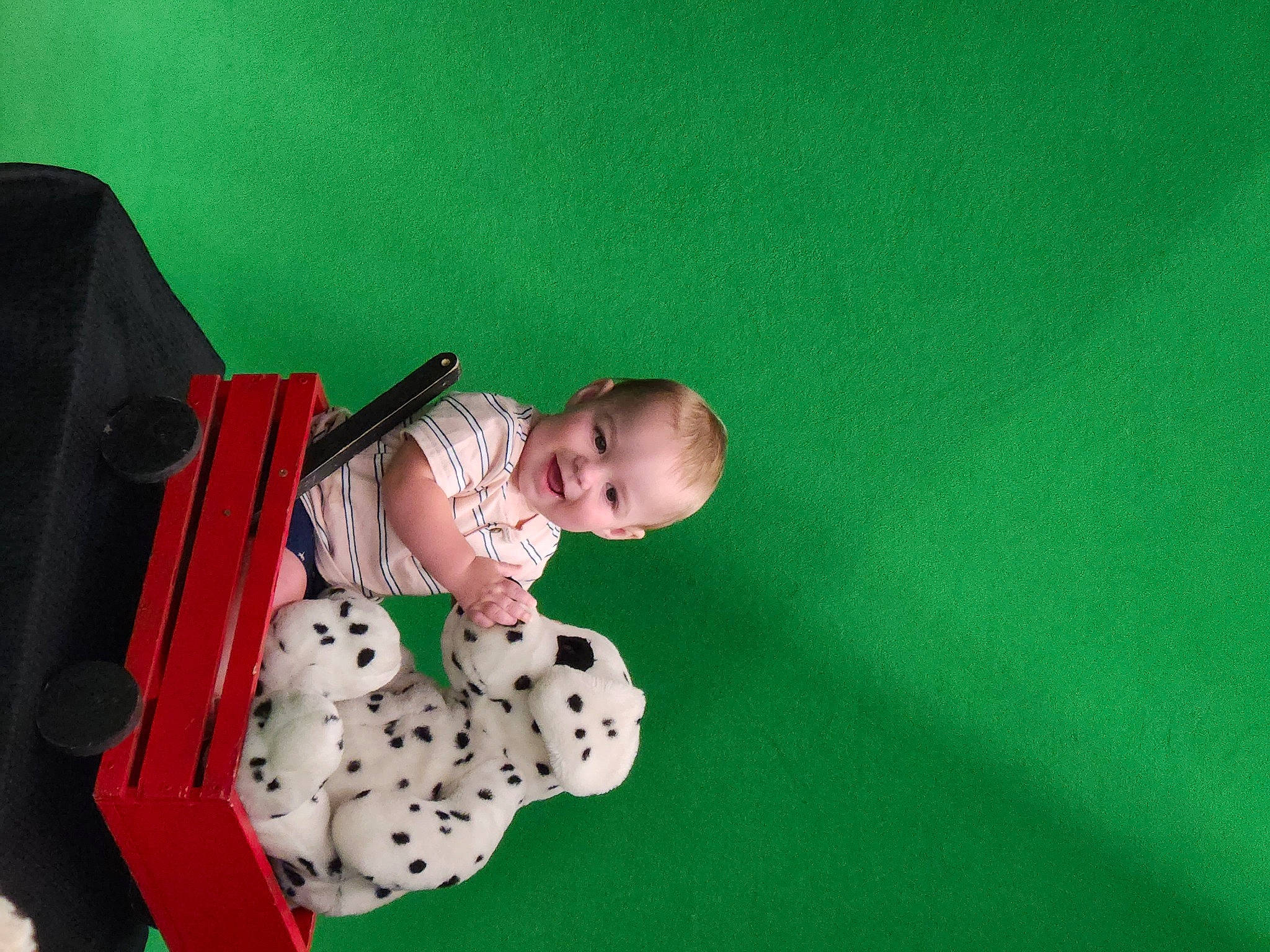 Bradley is registered to the contest to win money with this photo: baby, baby_products, baby_toddler_clothing, baby_toys, carmine, child, comfort, flooring, fun, grass, joy, pattern, person, play, room, sitting, sleeve, toddler