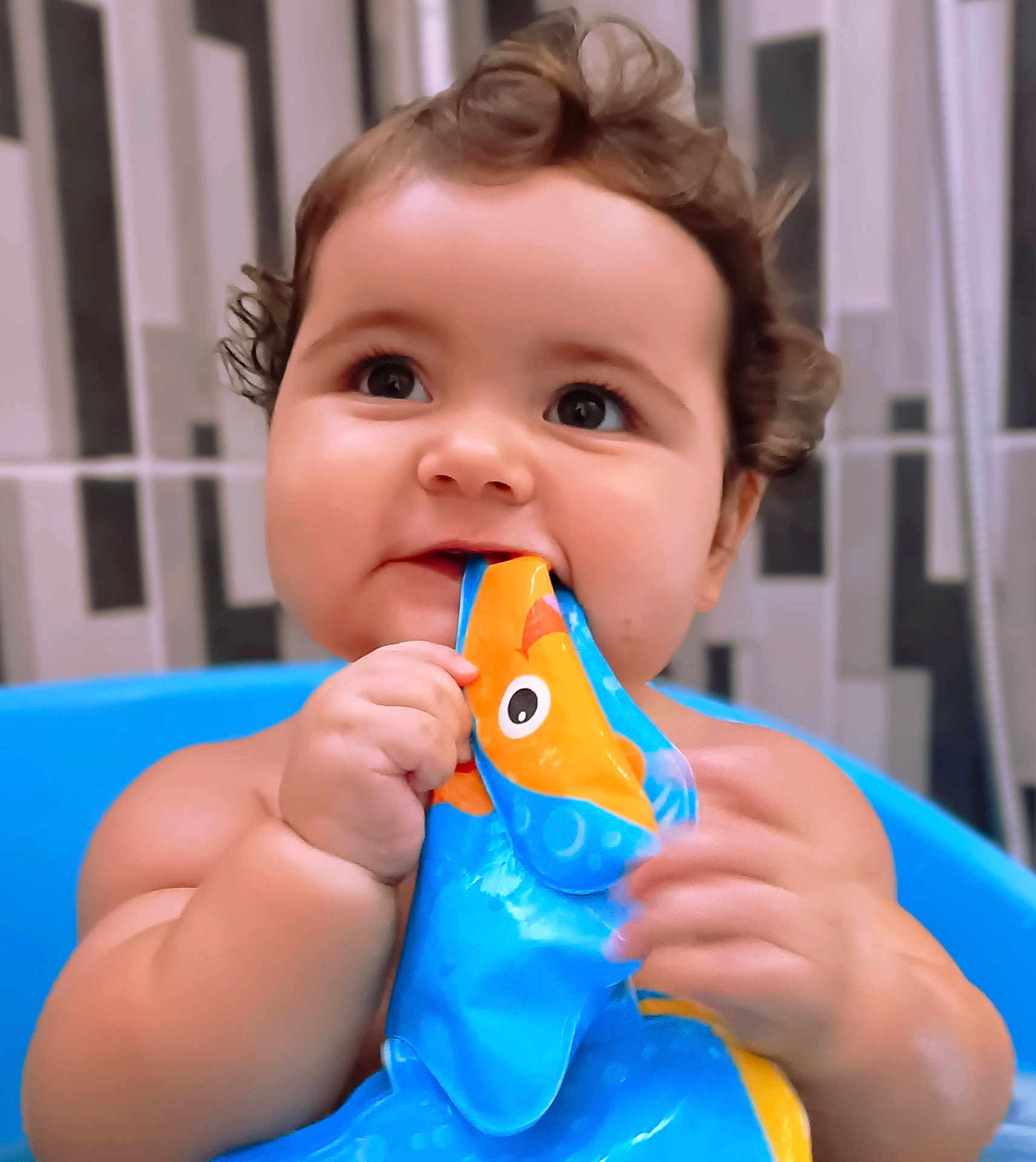 Ninon participe au concours pour gagner de l'argent avec cette photo : baby, child, curly_hair, blue_tub, toy, bathroom, chewing, cute, happy, infant, face, skin, hand, playful, water, indoor, smiling, young, closeup, portrait