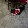 animal, black_cat, cat, chair, christmas_outfit, costume, curious, cute, domestic_animal, festive, floor, fluffy, furniture, holiday, indoor, looking_up, pet, santa_claus_costume, table, tile_floor