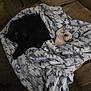 animal, black_cat, blanket, brown_couch, cat, comfortable, companion, couch, cozy, fur, furniture, indoor, light_cat, patterned_blanket, pets, relaxation, resting, sleeping, snuggling, soft