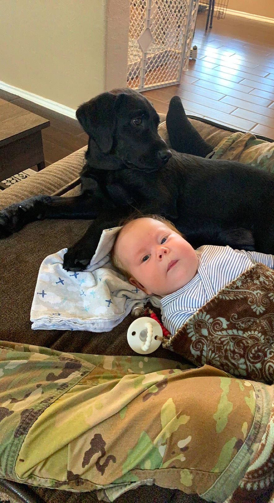 Bjorn is registered to the contest to win money with this photo: baby, bedding, bedtime, child, comfort, companion_dog, couch, flooring, fur, grass, linens, mammal, nap, pattern, person, room, sitting, sleep, toddler, tree