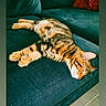 cat, tabby_cat, sleeping, couch, sofa, furniture, indoor, pet, animal, relaxing, orange_pillow, striped, cozy, resting, domestic_cat, tabby_pattern, home, floor, paw, whiskers
