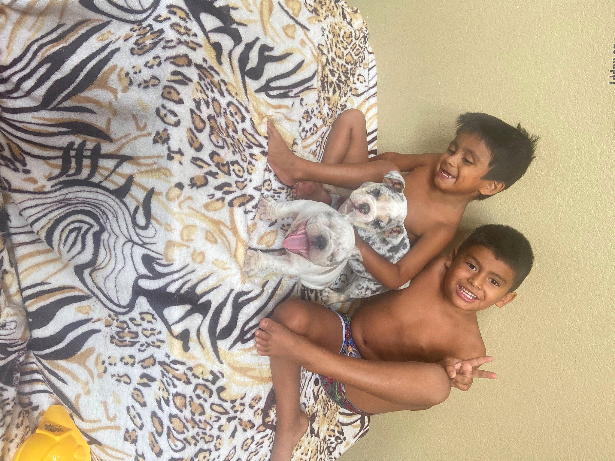 Darla is registered to the contest to win money with this photo: adaptation, art, baby, big_cats, event, fawn, felidae, fun, fur, happy, head, illustration, linens, painting, pattern, room, smile, toddler, vertebrate, visual_arts