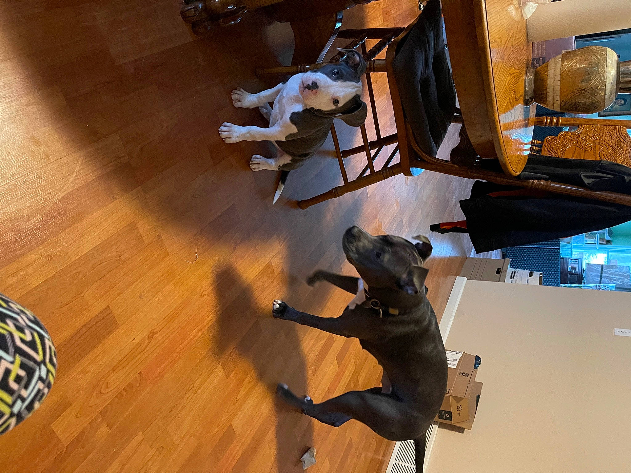 Atlas is registered to the contest to win money with this photo: armrest, art, building, chair, comfort, event, floor, flooring, hardwood, laminate_flooring, machine, plywood, room, sculpture, shadow, table, varnish, wood, wood_flooring, wood_stain