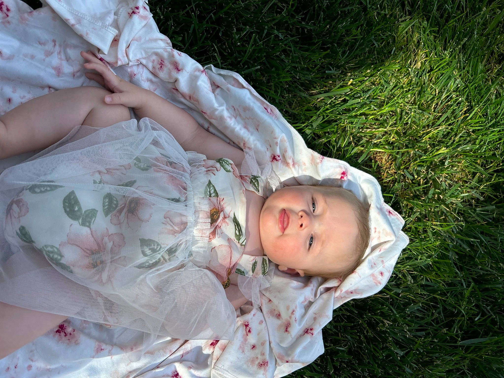 Charlotte joined the competition — help win amazing prizes! baby, baby_toddler_clothing, child, day_dress, dress, grass, grass_family, grassland, hand, happy, human_body, lip, pattern, people_in_nature, person, pink, plant, sitting, skin, toddler