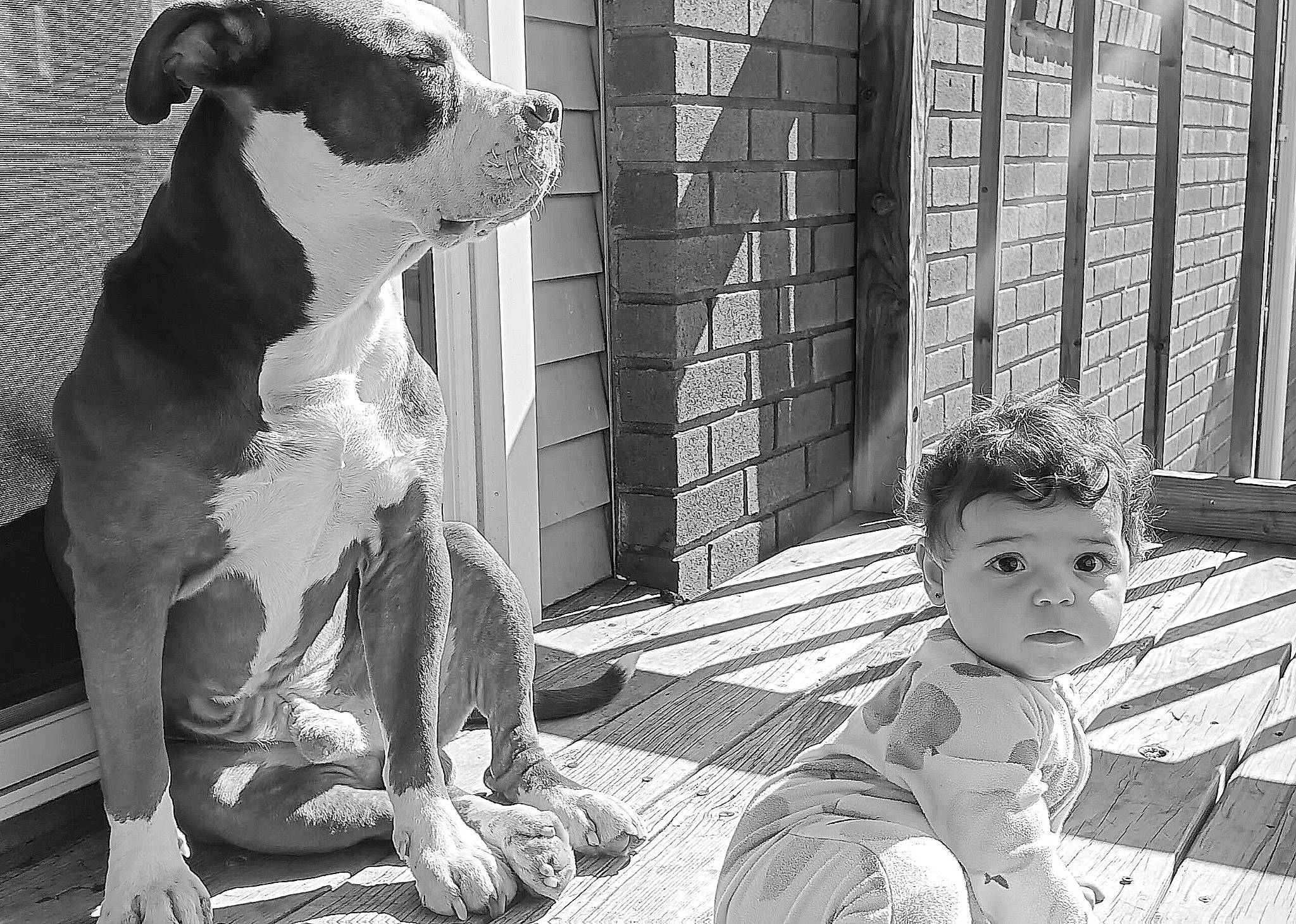 Emerald is registered to the contest to win money with this photo: art, black, black_and_white, carnivore, companion_dog, dog, dog_breed, flooring, mammal, monochrome, monochrome_photography, person, photograph, sitting, snapshot, standing, stock_photography, style, toddler, white