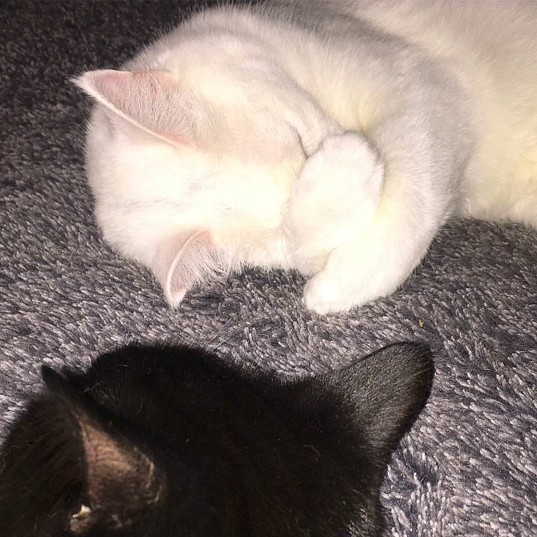 Sookie is registered to the contest to win money with this photo: