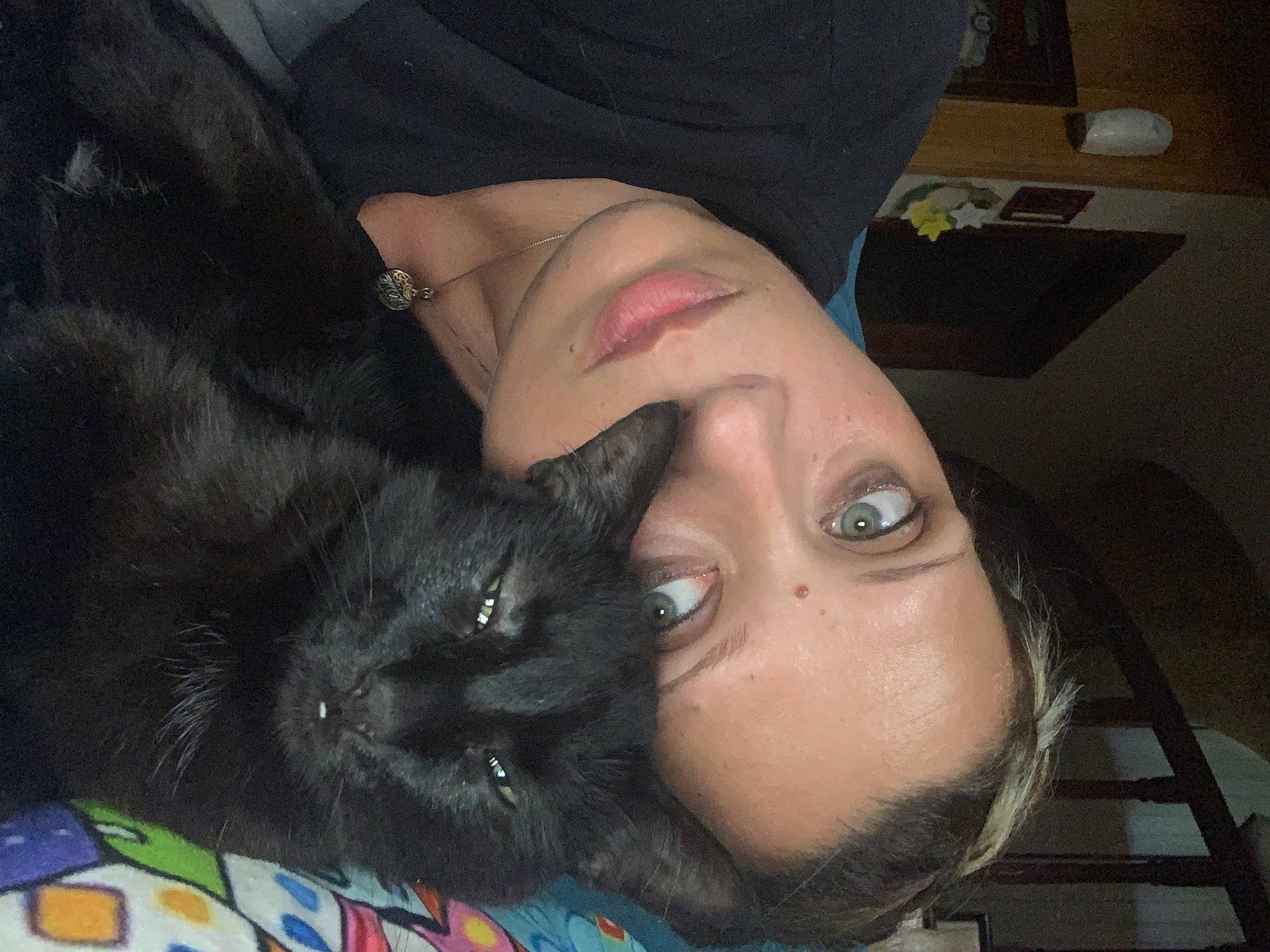 Lamu a rejoint le concours — aidez-le/la à gagner de superbes lots ! black_cat, black_hair, carnivore, cat, claw, comfort, domestic_short_haired_cat, ear, eyelash, fashion_accessory, felidae, fur, gesture, hat, nail, small_to_medium_sized_cats, snout, sunglasses, tail, whiskers