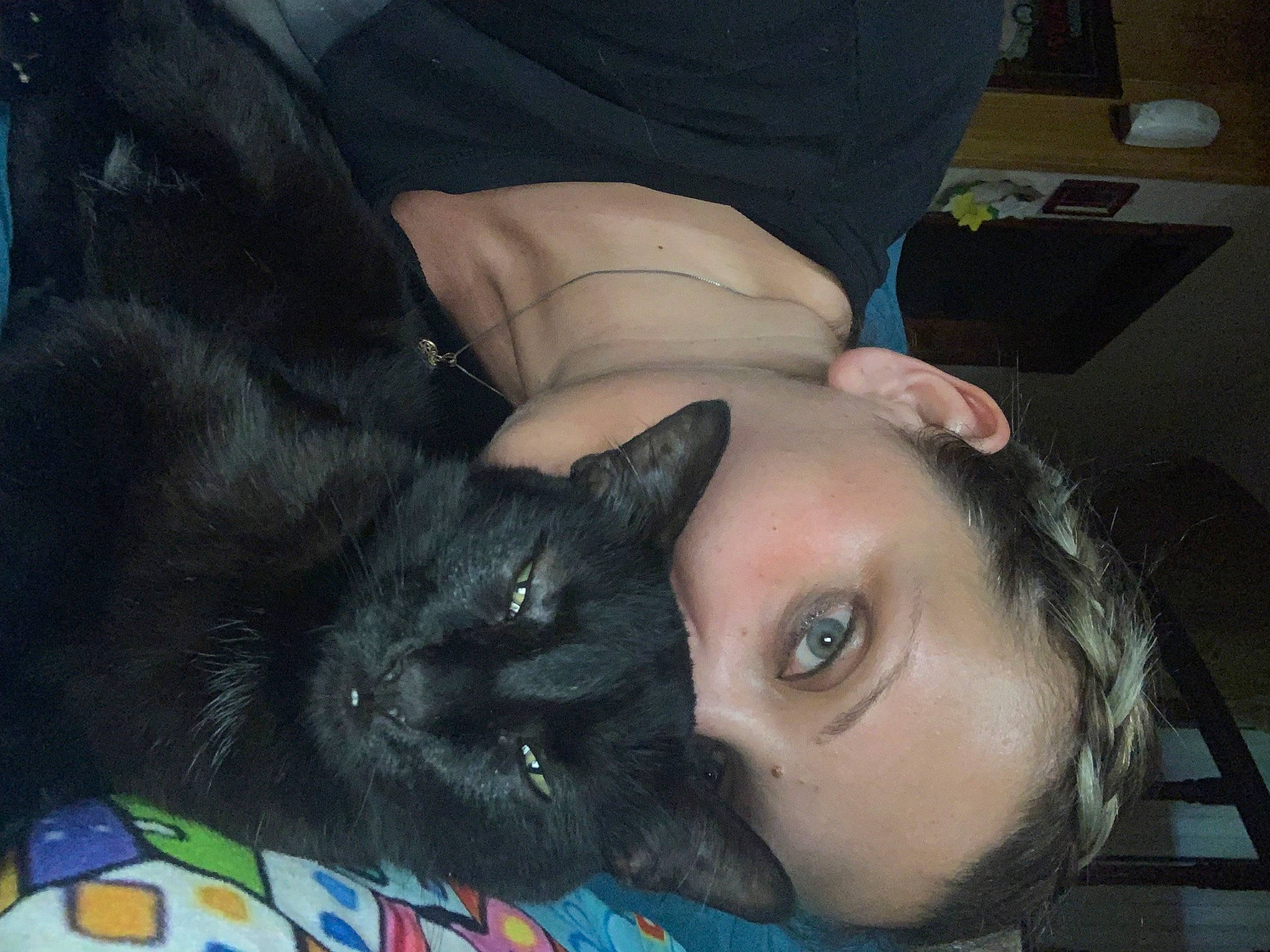 Lamu a rejoint le concours — aidez-le/la à gagner de superbes lots ! beard, black_cat, black_hair, carnivore, cat, comfort, companion_dog, domestic_short_haired_cat, ear, eyelash, felidae, fur, gesture, iris, lap, mammal, small_to_medium_sized_cats, tail, tree, whiskers