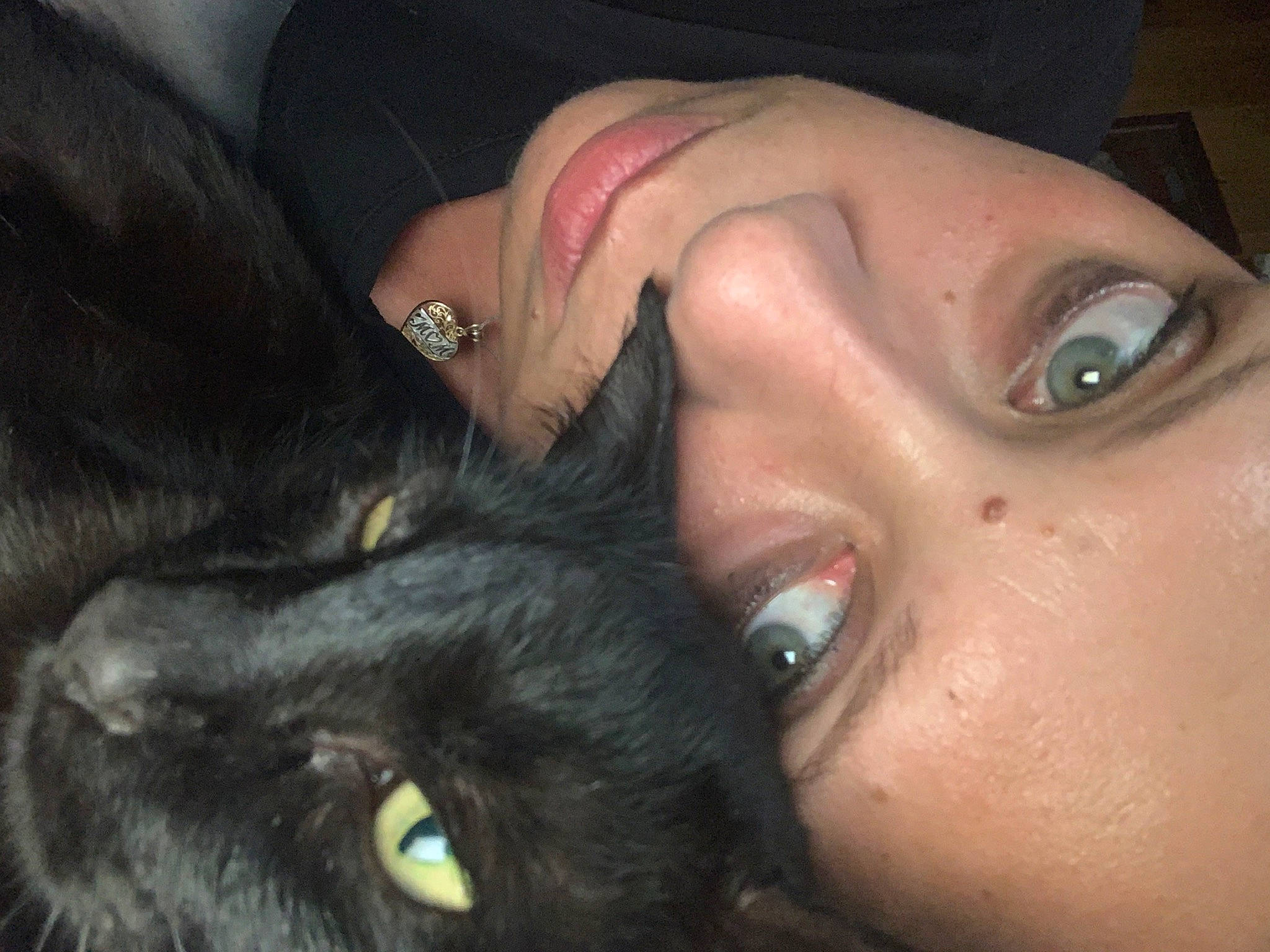 Lamu a rejoint le concours — aidez-le/la à gagner de superbes lots ! black_hair, carnivore, cat, cheek, ear, eyebrow, eyelash, felidae, finger, gesture, iris, jaw, lip, mouth, nail, neck, nose, skin, small_to_medium_sized_cats, whiskers