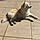 Suna