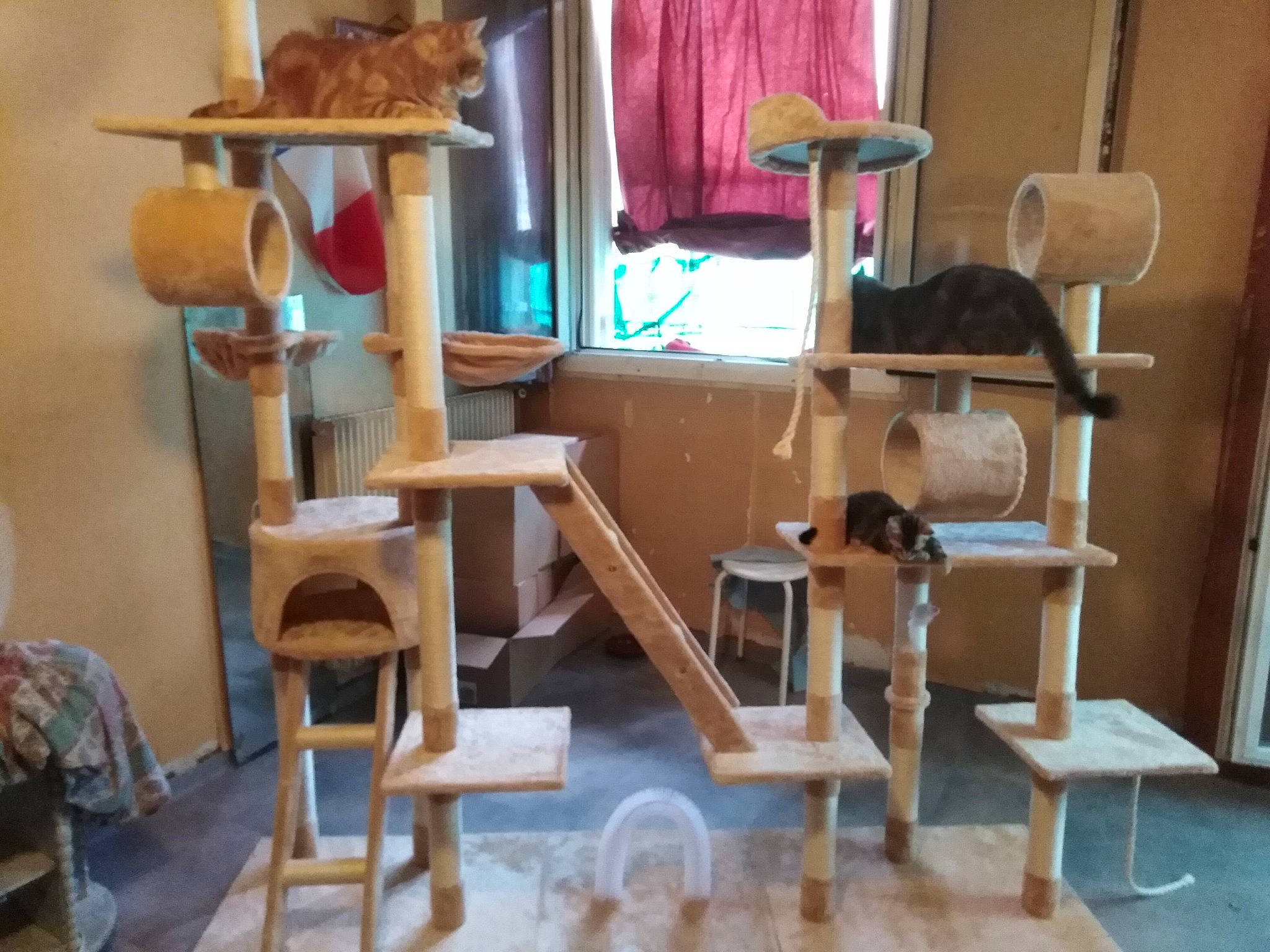 Nalha participe au concours pour gagner de l'argent avec cette photo : art, bookcase, cat, cat_supply, chair, creative_arts, drum, floor, flooring, hardwood, ladder, lumber, plywood, room, shelf, shelving, stool, visual_arts, wood, wood_stain