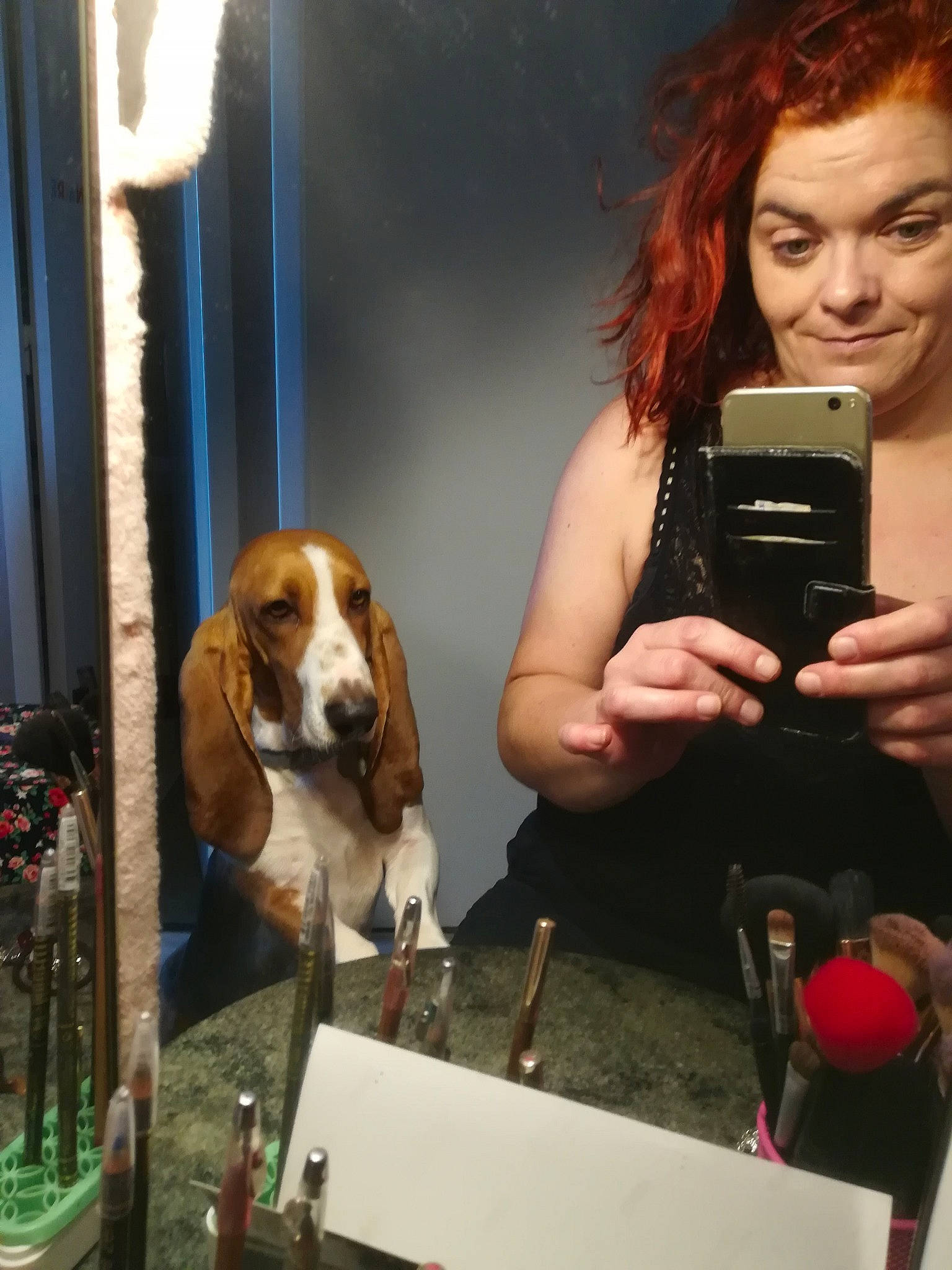 Mowgli Du Cheval Du Marquet participe au concours pour gagner de l'argent avec cette photo : beagle, carnivoran, companion_dog, dog, dog_breed, dog_like_mammal, joy, person, snout