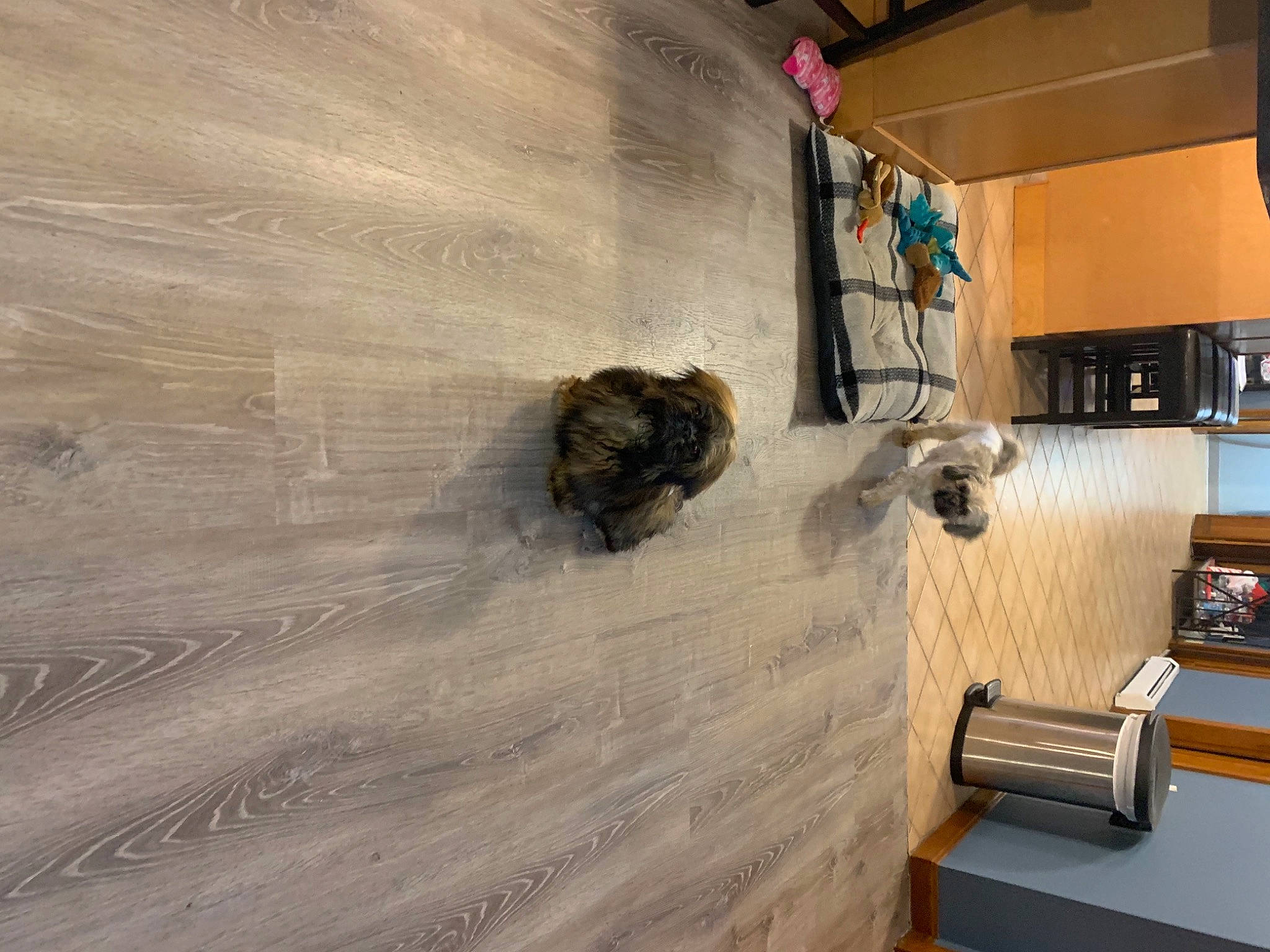 Buccaneer joined the competition — help win amazing prizes! building, ceiling, chair, comfort, concrete, couch, floor, flooring, hardwood, house, houseplant, laminate_flooring, plaster, plywood, recreation, room, shelf, space, wood, wood_flooring