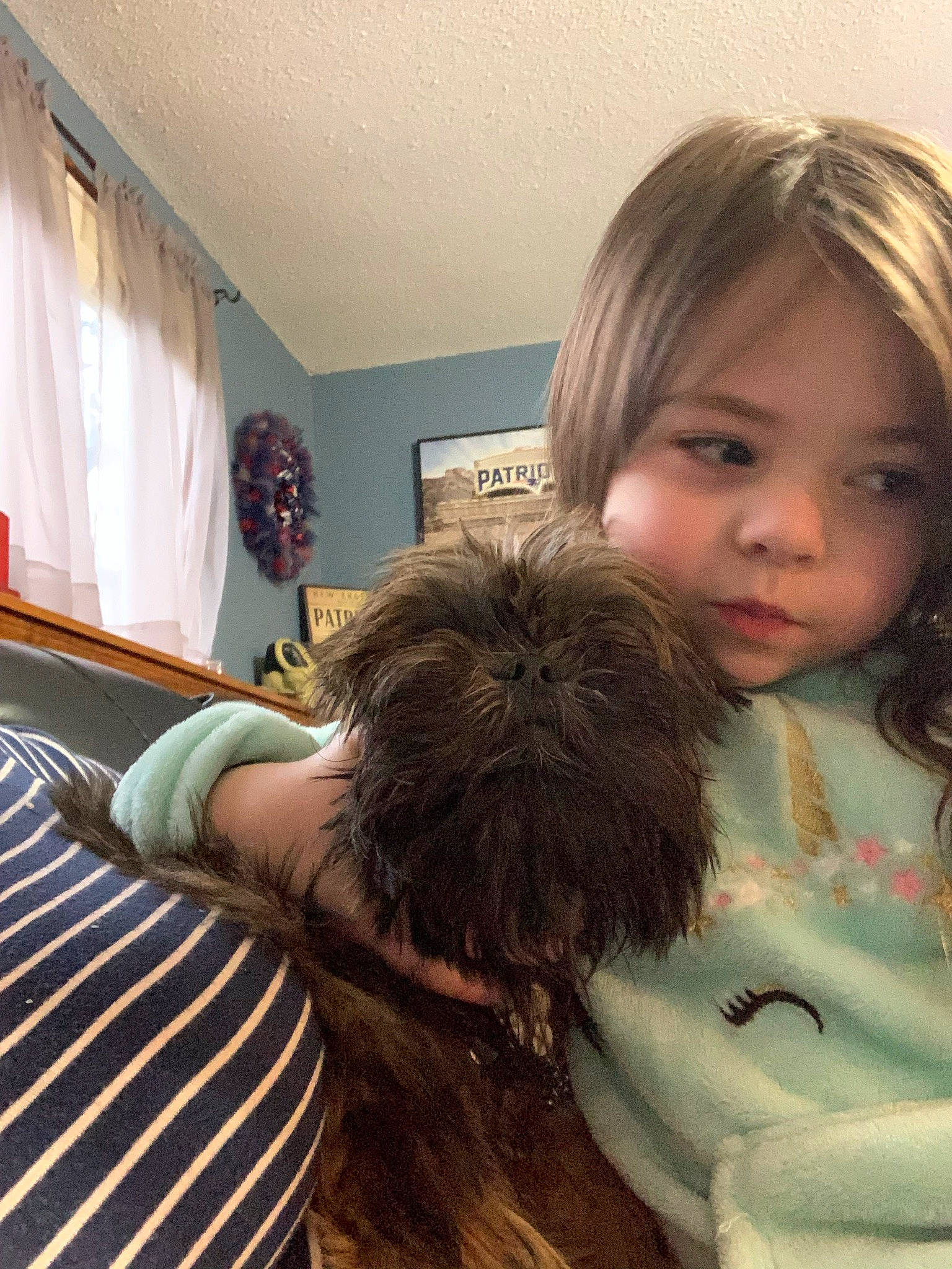 Buccaneer joined the competition — help win amazing prizes! carnivore, child, comfort, companion_dog, curtain, dog, dog_breed, eyelash, fur, hair, hair_coloring, hairstyle, happy, liver, long_hair, sitting, t_shirt, toddler, toy_dog, working_animal