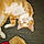 Fat Cat