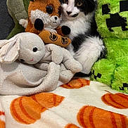 Hobbie participe au concours pour gagner de l'argent avec cette photo : cat, kitten, plush_toy, stuffed_animal, bunny, fox_toy, minecraft_creeper, green_plush, blanket, cozy, whiskers, fur, cute, black_and_white, indoor, couch, portrait, toy_collection, pet, soft_texture