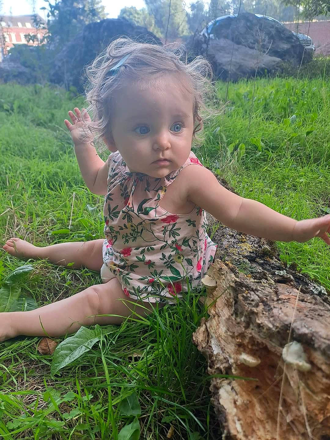 Kate a rejoint le concours — aidez-le/la à gagner de superbes lots ! adaptation, baby, baby_toddler_clothing, botany, child, fun, grass, grass_family, grassland, groundcover, hand, happy, nature, people_in_nature, person, plant, skin, summer, terrestrial_plant, toddler