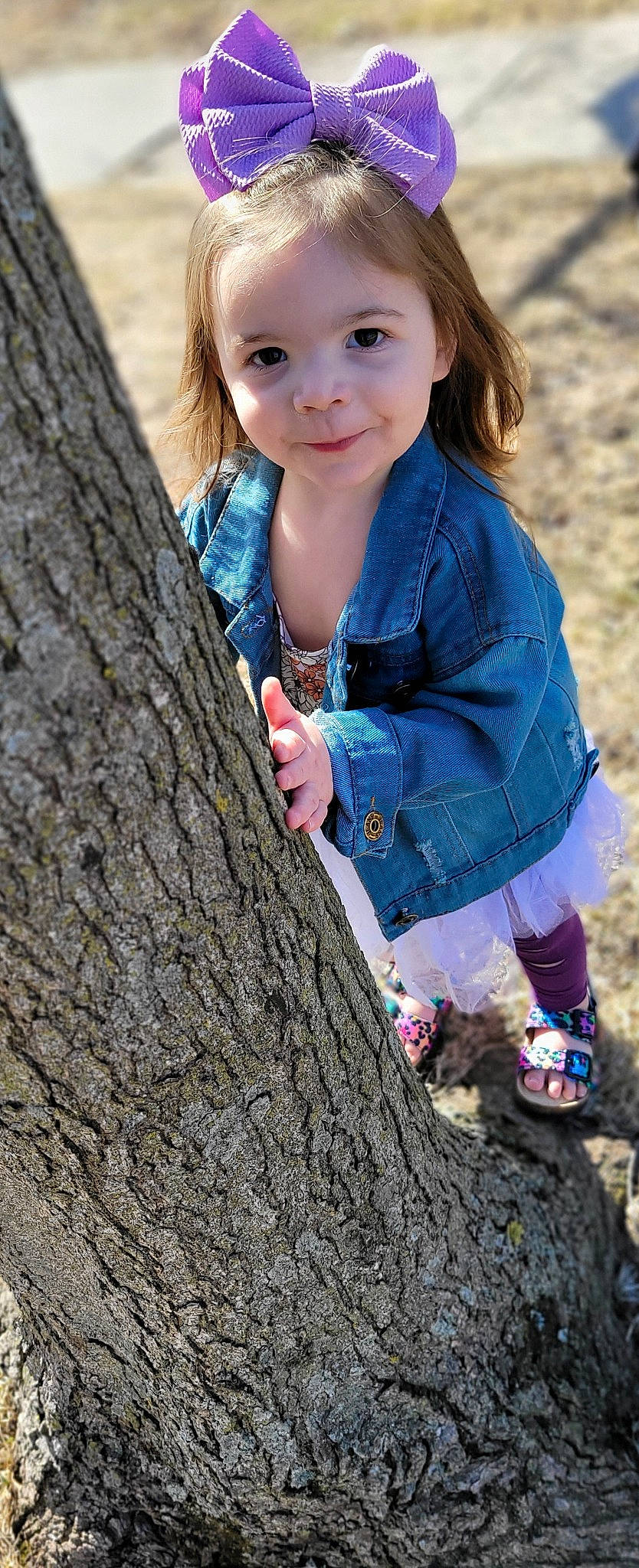 Ellie joined the competition — help win amazing prizes! baby_toddler_clothing, beauty, blond, brown_hair, child, electric_blue, fun, grass, happy, joy, leaf, lip, people_in_nature, person, photograph, sitting, skin, smile, t_shirt, toddler