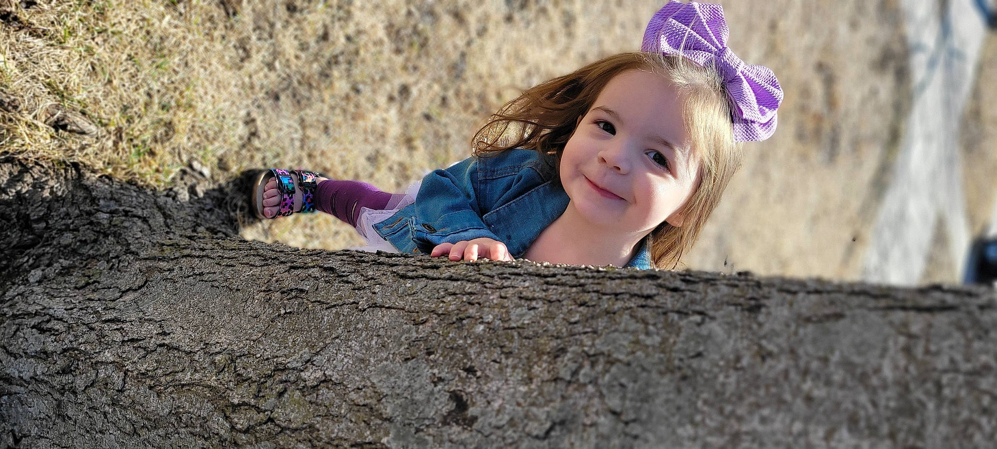 Ellie is registered to the contest to win money with this photo: beauty, brown_hair, child, electric_blue, eye, fawn, fun, grass, happy, headpiece, human_body, iris, joy, landscape, leisure, people_in_nature, person, smile, soil, toddler