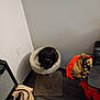black_cat, cat_tree, indoor, furniture, amplifier, bag, chair, floor, wall, electronic_device, pet, cozy, resting, domestic_animal, carpeted, wooden_floor, fabric, clutter, corner, relaxing