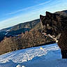 Tao participe au concours pour gagner de l'argent avec cette photo : dog, black_dog, snow, mountain, forest, blue_sky, outdoor, winter, animal, canine, nature, landscape, snowy_field, fur, pet, cold, daylight, scenery, wildlife, blue_eyes