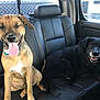 Ruger joined the competition — help win amazing prizes! dog, car_interior, leather_seat, black_dog, brown_dog, tongue_out, winking, pet, animal, happy, sitting, seatbelt, tail, smiling, domestic_animal, canine, vehicle, window, fur, collar