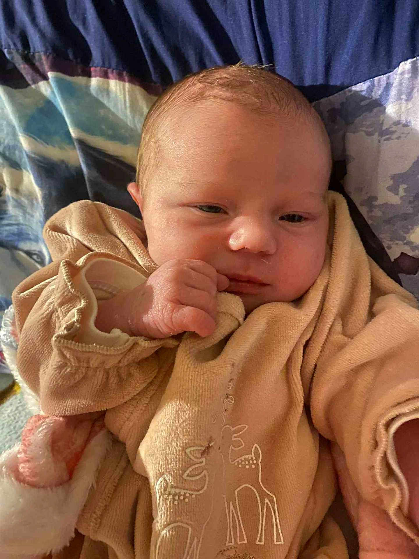 Chloë participe au concours pour gagner de l'argent avec cette photo : baby, infant, newborn, clothing, blanket, sleepy, face, hand, cute, soft, beige, deer, pattern, fabric, resting, portrait, child, young, warm, cozy