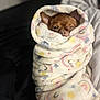 dog, brown, small_dog, blanket, wrapped, cozy, snug, sleepy, indoor, couch, soft_texture, patterned_blanket, rainbow_pattern, stars, pet, cute, fur, resting, comfort, animal