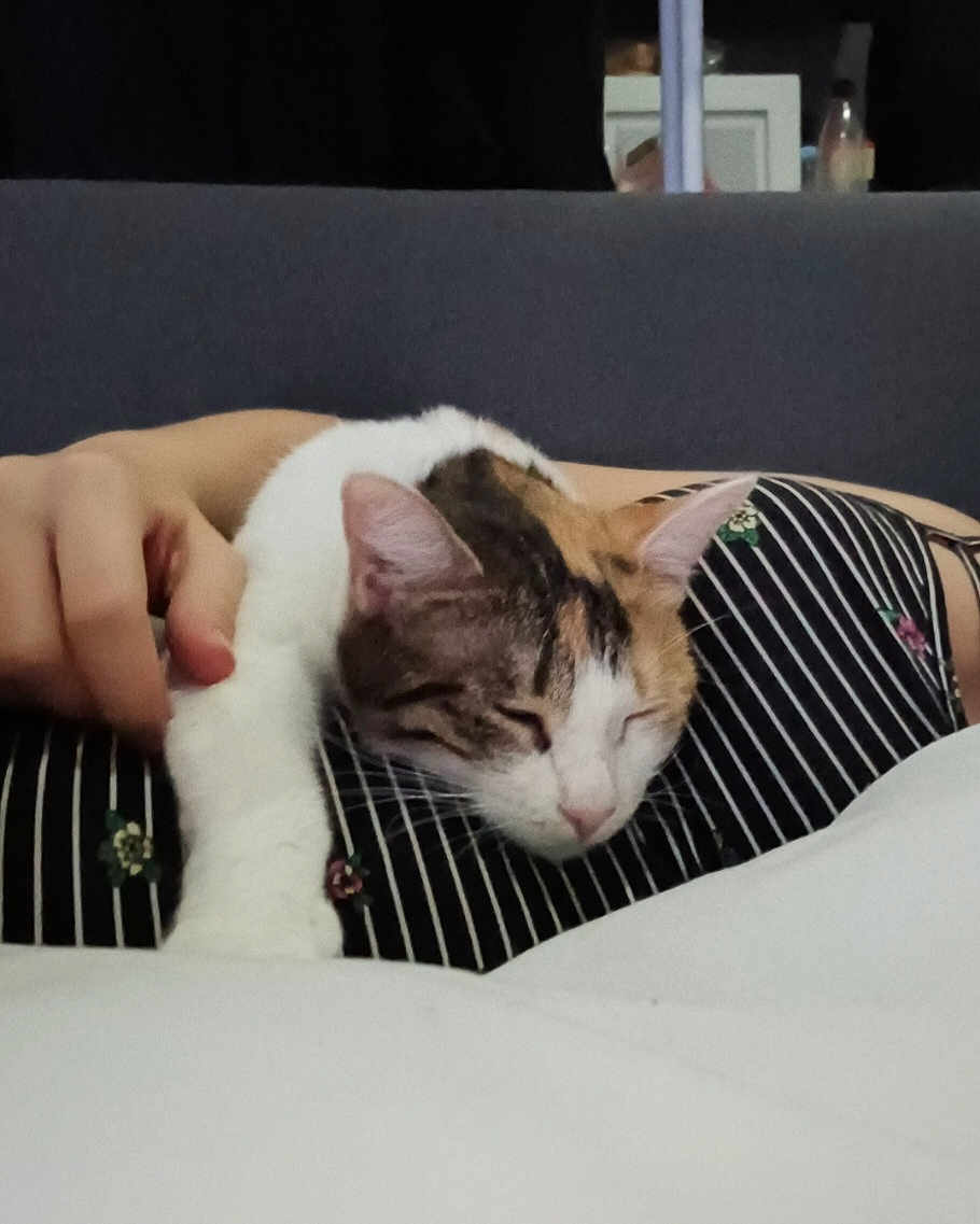 Kiara