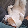 animal, calico_cat, casual_clothing, cat, close_up, comfortable, couch, cozy, domestic, fluffy, fur, indoor, lying_down, paws, person, pet, relaxed, resting, soft_lighting, white_fur