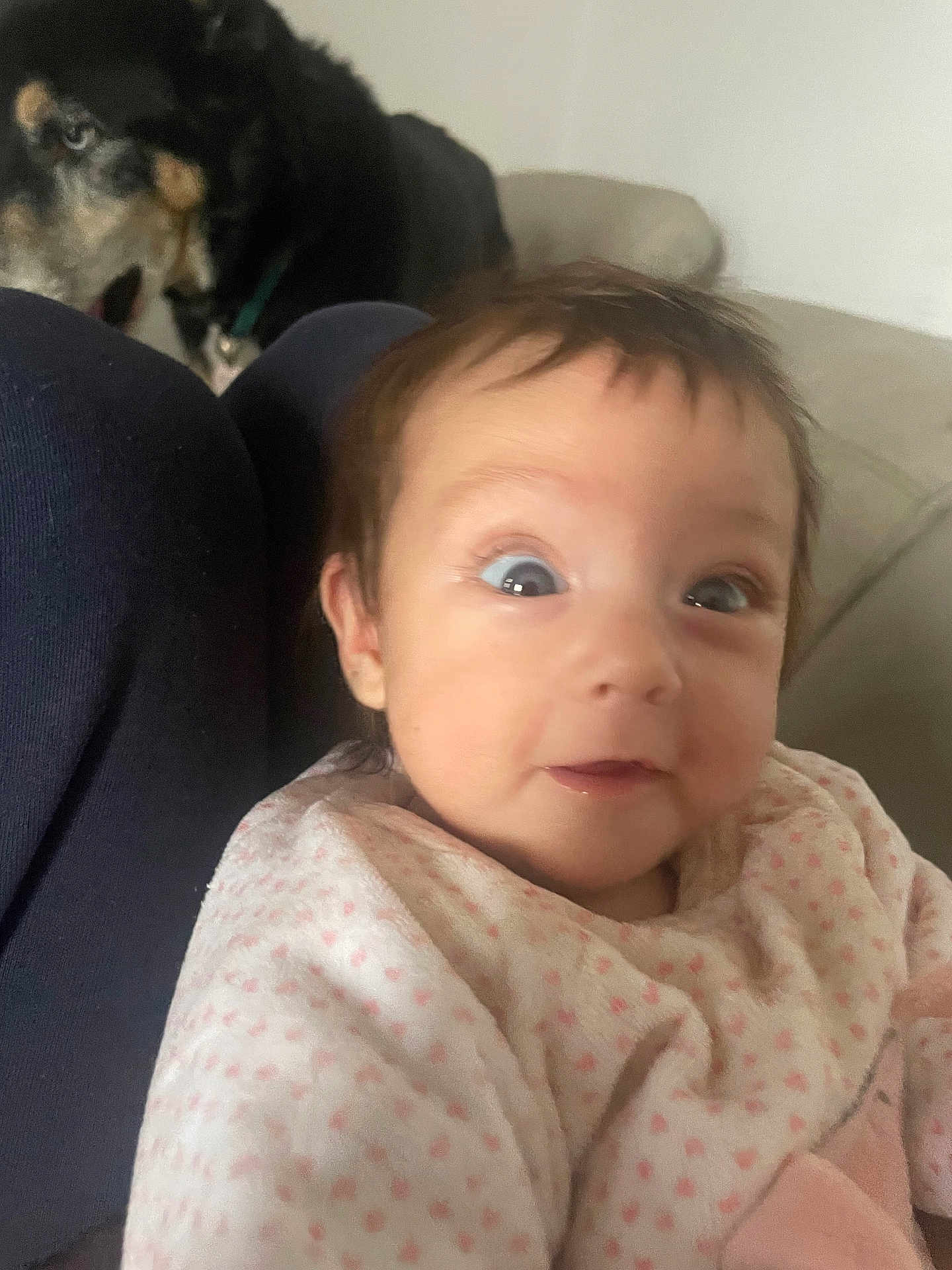 Inaya participe au concours pour gagner de l'argent avec cette photo : baby, infant, surprised, face, person, clothing, pink, polka_dot, indoors, couch, dog, pet, fur, animal, comfort, expression, child, portrait, cute, cozy