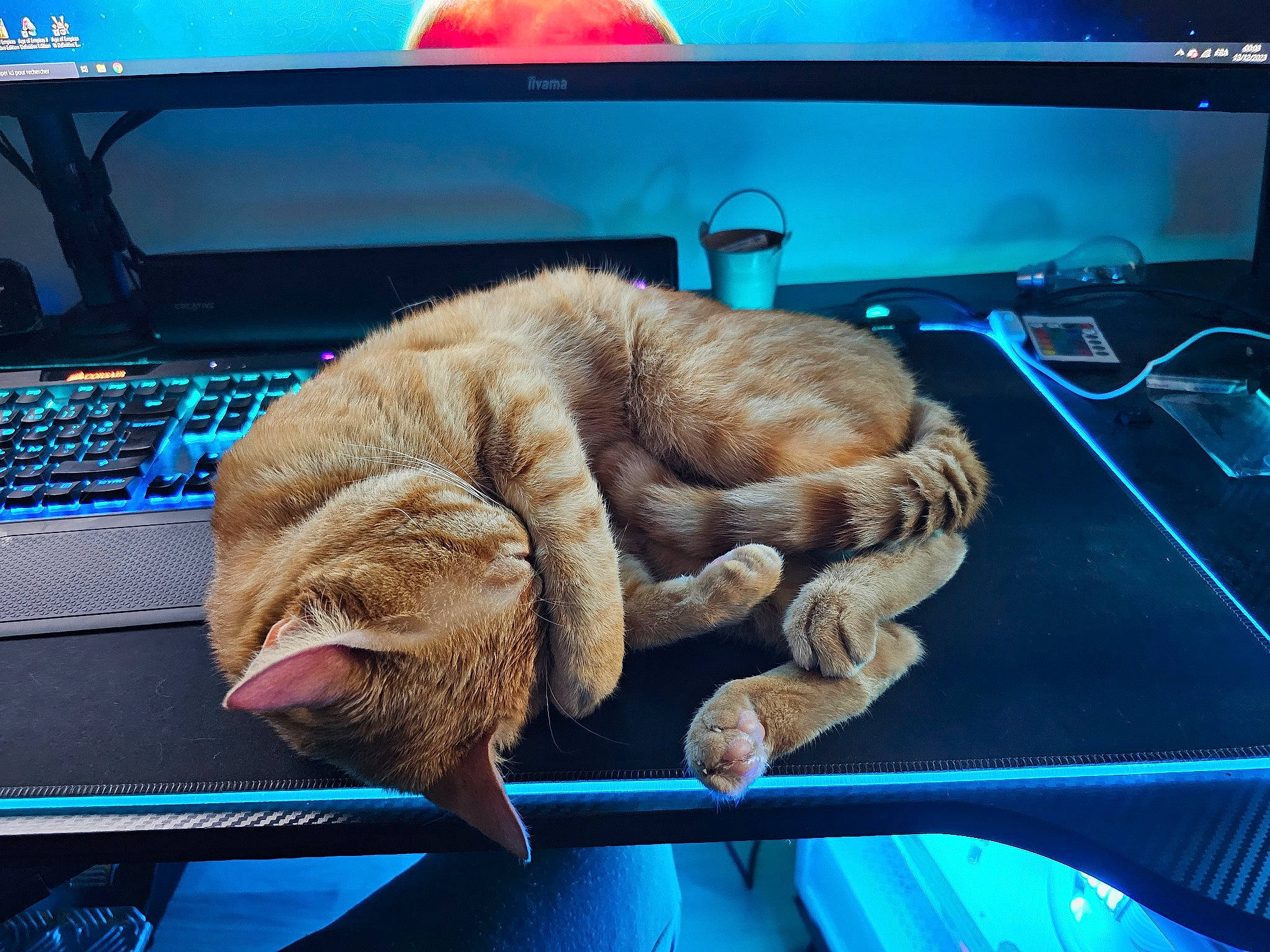 Spritz participe au concours pour gagner de l'argent avec cette photo : blue, carnivore, cat, comfort, computer, computer_keyboard, display_device, domestic_short_haired_cat, electric_blue, electronic_device, felidae, input_device, laptop, output_device, peripheral, personal_computer, small_to_medium_sized_cats, space_bar, tail, whiskers