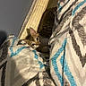 Lucita is registered to the contest to win money with this photo: animal, bed, bedding, blanket, cat, cozy, curious, cute, feline, fur, hidden, indoor, kitten, mattress, pattern, peek, quiet, resting, sleeping_area, small_animal